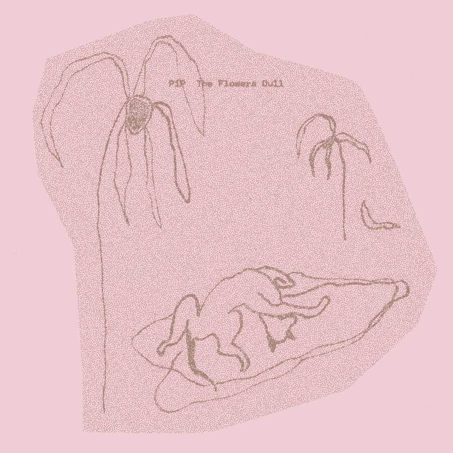 PiP - The Flowers Dull released on Zitstill Records, April 11th 2025